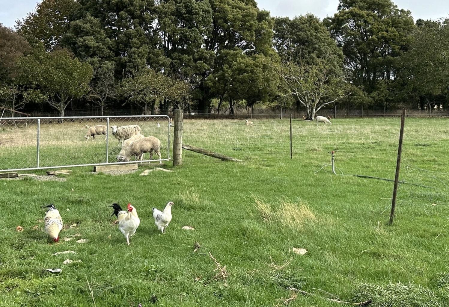 넬슨 Country Retreats On Ranzau 1 빌라 외부 사진